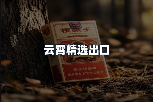 云霄精选出口